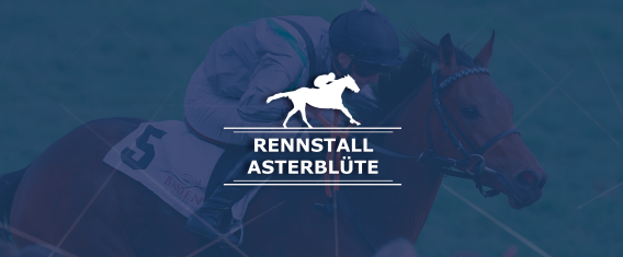 App Rennstall Asterblüte
